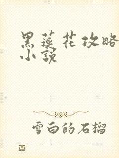 黑莲花攻略手册小说