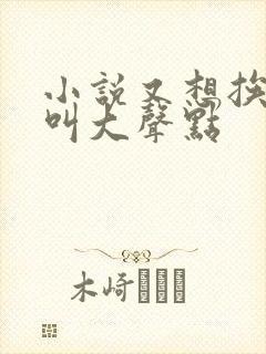 小说又想挨C了叫大声点