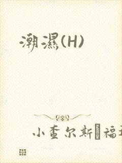 潮湿(H)封面
