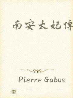 南安太妃传封面