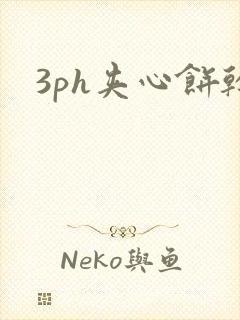 3ph夹心饼干封面