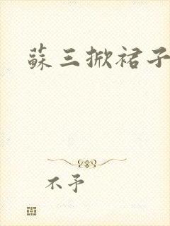 苏三掀裙子封面