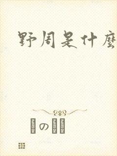 野周是什么意思
