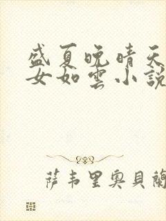 盛夏晚晴天之美女如云小说封面