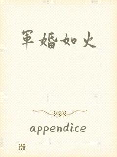 军婚如火封面