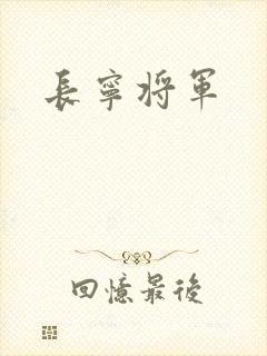 长宁将军封面