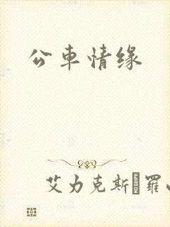 公车情缘