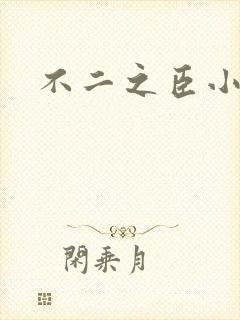 不二之臣小说封面