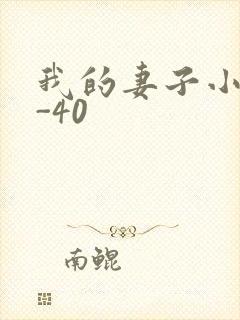 我的妻子小谨1-40