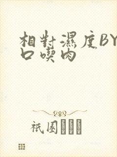 相对湿度BY大口吃肉