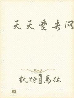 天天爱去网
