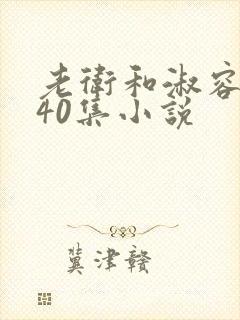 老卫和淑容1-40集小说封面