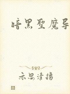 暗黑圣魔导封面