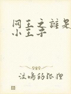 网王之谁是我的小王子