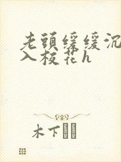 老头缓缓沉腰进入校花h