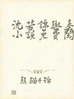 沈若锦与秦琅的小说免费阅读封面