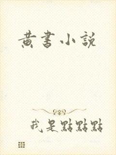 黄书小说