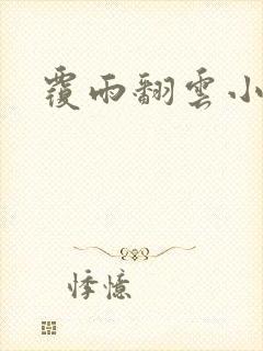 覆雨翻云小说封面