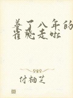 养了八年的金丝雀飞走啦