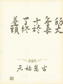 养了十年的小丫头终于长大了