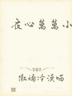 夜心万万小说封面