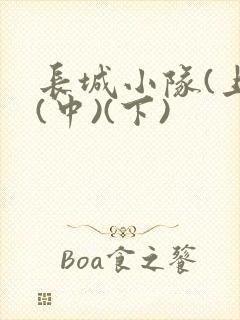 长城小队(上)(中)(下)封面