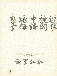 熟睡中被进了H青梅诱哄视频