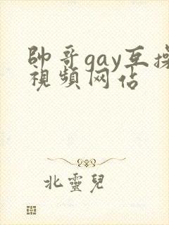 帅哥gay互操视频网站