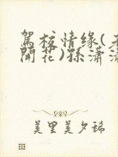 驾校情缘(老树开花)孙潇潇笔趣阁