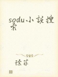 sodu小说搜索
