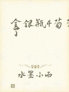 金银瓶4葡萄熟了封面
