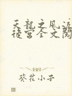 天龙之风流猎艳后宫全文阅读封面