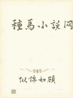 种马小说网