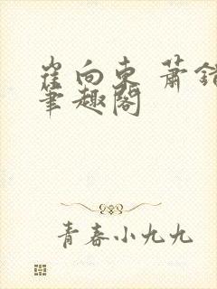 崔向东 萧错 笔趣阁