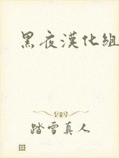 黑夜汉化组