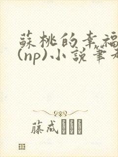 苏桃的幸福生活(np)小说笔趣阁封面