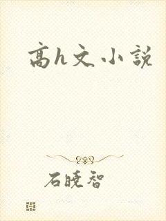 高h文小说