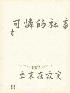 可怜的社畜txt封面