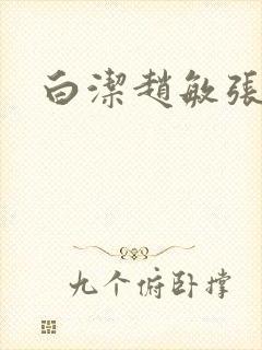 白洁赵敏张倩封面