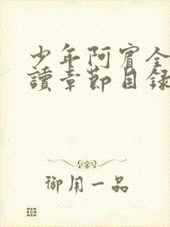 少年阿宾全文阅读章节目录封面