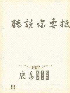 听说你要抵抗我