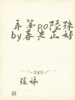 弄筝po陆殊词by春光正好封面