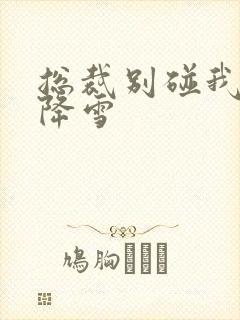 总裁别碰我 韩降雪