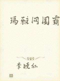 玛雅网图霸天下