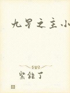 九星之主小说