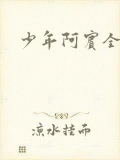 少年阿宾全集封面