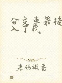 公交车最后一排入了我