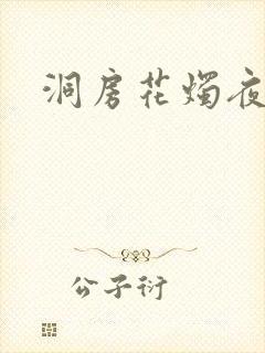 洞房花烛夜小说