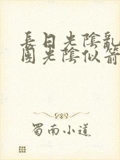 长日光阴乱作一团光阴似箭必读