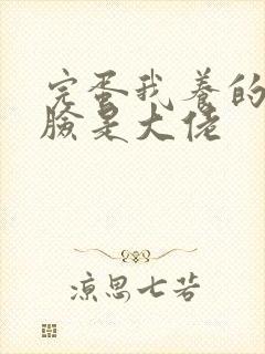 完蛋我养的小白脸是大佬